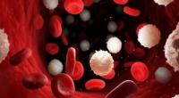 L’accordo Stato Regioni sui requisiti minimi di un Servizio Trasfusionale e unità di raccolta sangue ed emocomponenti – FCB004