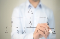 The organizational structure of a PMA center - FCP003 - 15/12/23