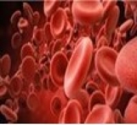Quality Manager in Tissue Institute, Transplant Programme and Blood Banks